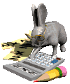 Math rabbit